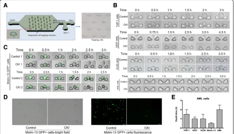 Fig. 3 The variation in cell morphology observed with the optofluidics chips at the single-cell microfluidics level