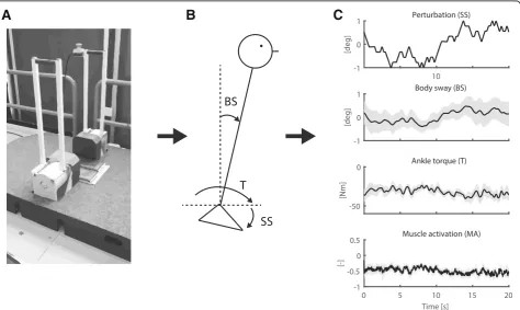 Fig. 1 Experimental set up. a The Bilateral Ankle Perturbator (BAP) was used to apply the support surface (SS) rotations