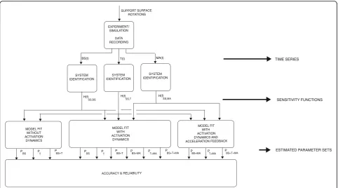 Fig. 2 Flowchart of the study set up. The support surface rotations were used in the experiments and simulation to perturb the proprioceptiveparameters