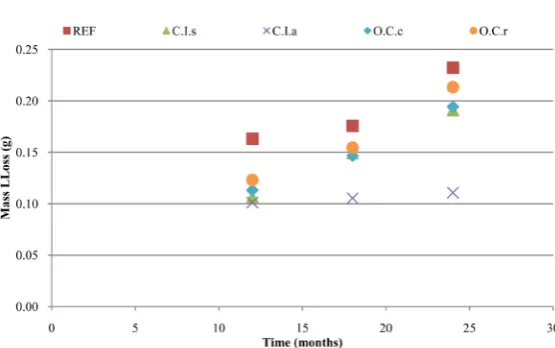 Figure 7. Mass loss (g) versus time (months) of exposure in NaCl solution. 