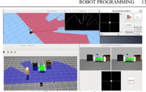 Fig. 4. Introrob running on Gazebo