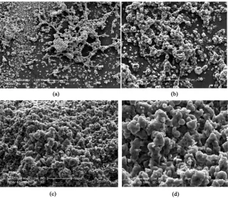 Figure 4. SEM images of freeze dried encapsulated phenolic fraction with natural poly-saccharides co-extracted under subcritical water extraction of apple pomace (SWE); with Magnifications; (a) =50×; (b) =100×; (c) =1000× and (d) =5000×