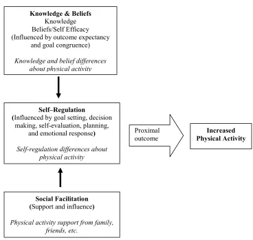Figure 2.  Adapted model of health behavior change.   
