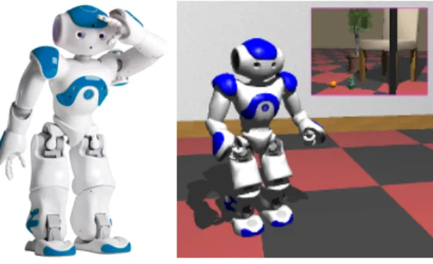Fig. 1. The real Nao robot and its simulation model of Webots simulator