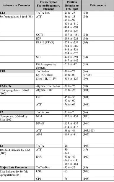 Table 1-2. Transcription factor binding sites and regulatory elements in E1A-responsive 