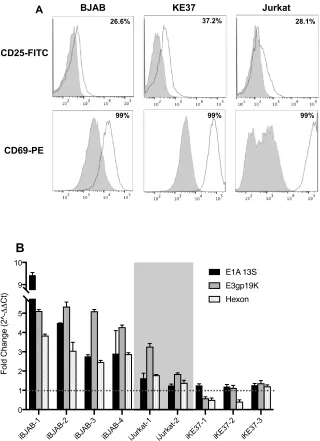 Figure 2-2.Cell stimulation with PMA and Ionomycin upregulates viral gene expression in 