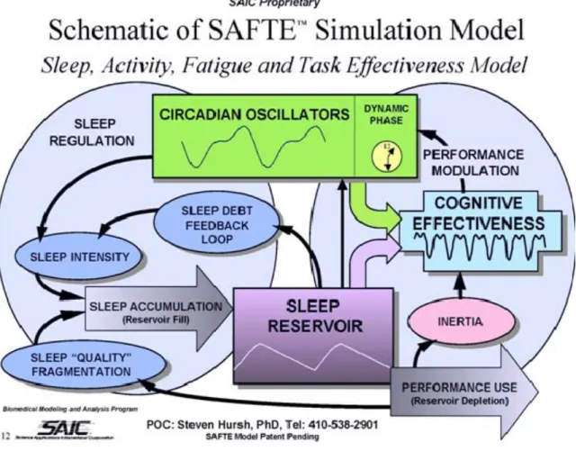 Figure 1.   SAFTE Model Schematic (Hursh, 2003) 
