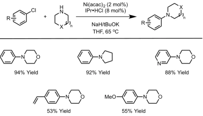 Figure 1.08 – Other electrophilic components used in C-N bond formations 