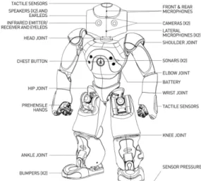 Figure 1: Nao robot (Courtesy Aldebaran Robotics)