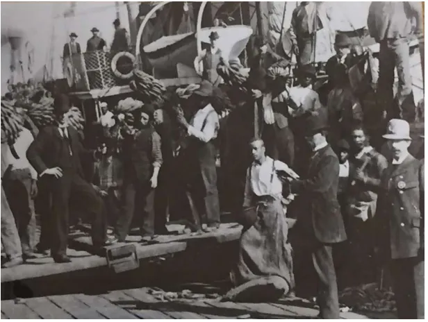 Figure 4.21 "Busy scene on arrival of banana cargo at New Orleans"  Frederick Adams, Conquest of the Tropics (1914) 