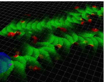 Figure 9 - An example composite navigation map  generated during a simulation experiment
