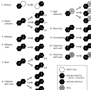 Figure 11. Motion and collision rules for a pairwise CTS lattice gas model. For states that have multiple transitions, the transition rate foreach is reduced from unity to the fraction shown