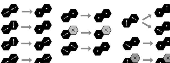 Figure 12. Example of a CTS lattice gas model. Left: particles undergoing random (brownian) motion in a vessel