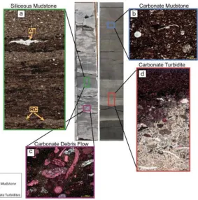 Figure 3: This figure adapted by Wickard et al. (2016) provided an in-depth description of the core and facies of the Wolfcamp Shale
