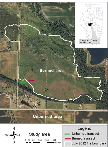 Figure 1.  Site of wildfire (27 July 2012) showing the extent of the burned and unburned areas and the location of the transects