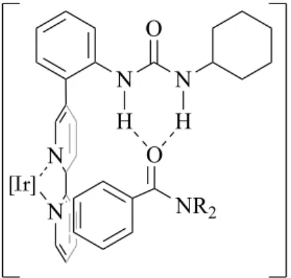 Figure 2 Secondary interaction between the ligand and substrate. 42ONR2HHNNONN