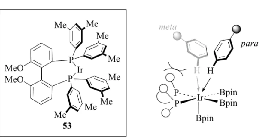 Figure 4 Para-selective borylation directed by bulky ligand. 44