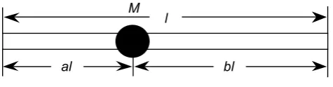 Fig. 1  A beam with additional mass