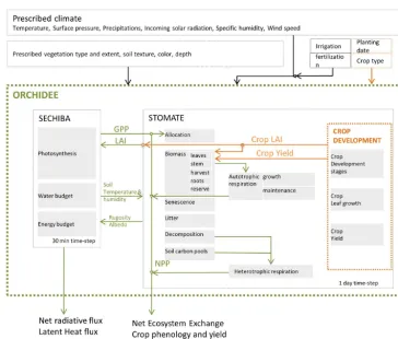 Figure 1. Model structures of the ORCHIDEE-CROP. The crop development module (based mainly on STICS; Brisson et al., 1998) isintegrated into the STOMATE module of ORCHIDEE (Krinner et al., 2005)