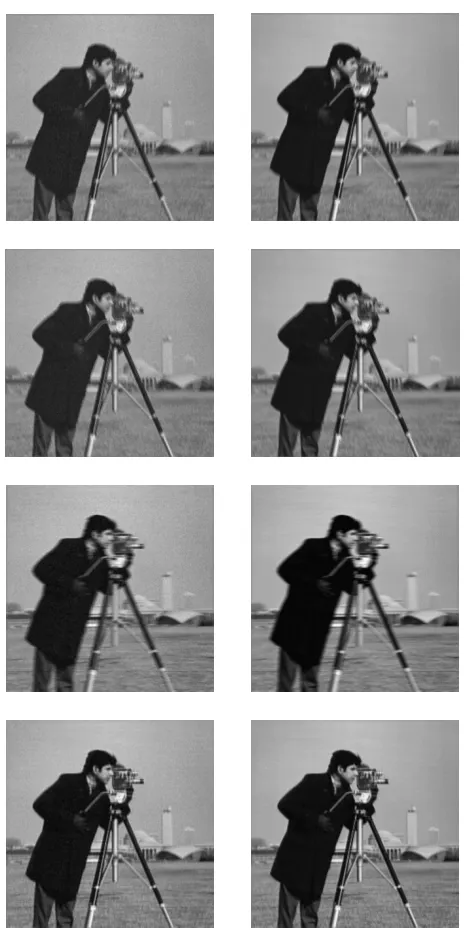 Figure 17: Cameraman image. Left column, ﬁrst, second, and thirdRight column, ﬁrst, second, and third rows: observations