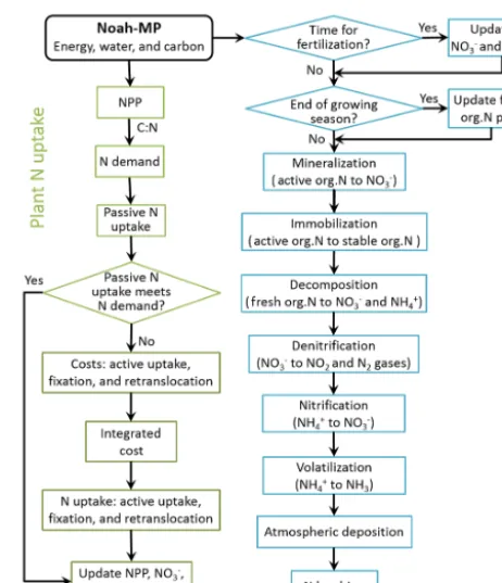 Figure 1. Flow chart of the nitrogen dynamic model. org.N: organicnitrogen.