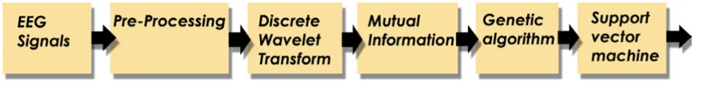 Figure 1. EEG signals were checked for the presence of