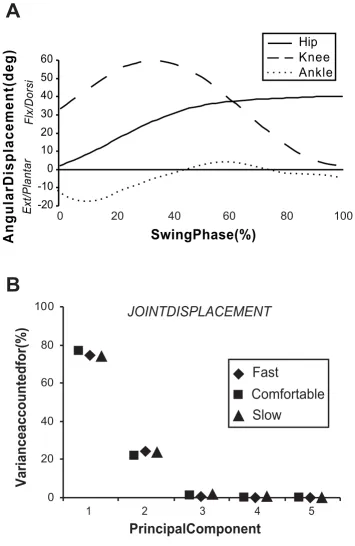 Figure 1Angular displacement at each joint(dashed), and ankle (dotted) for a representative participant walking at comfortable speed