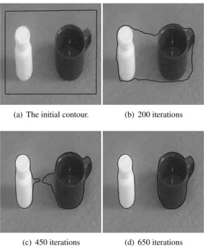 Figure 4. Result for a real microscope cell image, with λ = 5.0, µ = 0.04, ν = 1.5, and time step τ = 5.0.