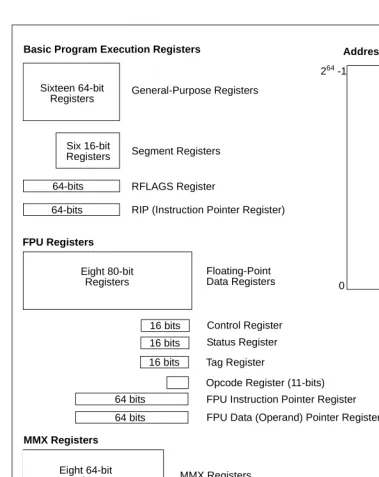 Figure 3-2.  64-Bit Mode Execution Environment