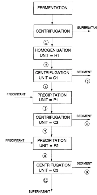 Figure 2.6 Block Flow Diagram of the Fermented Yeast Process.