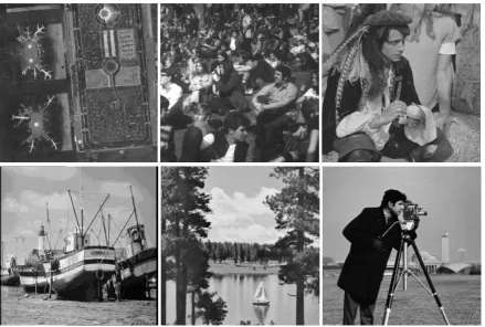 Figure 1.  Tested Clean images (from left to right), first row: Lax, Crowd, and Pirate, second row:                  Boats, Lake and Cameraman