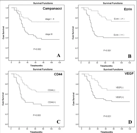 Figure 3 Survival curves of GCTB patients.(D) (A) Campanacci stage (P = 0.002). (B) Expression of ezrin (P = 0.001)
