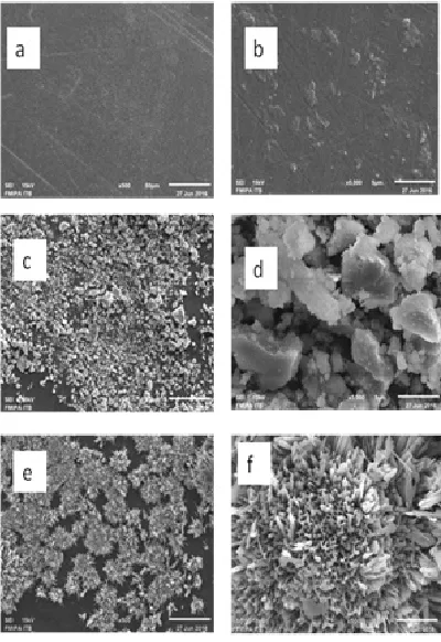Fig. 4: XRd patterns of (a) eggshell (b) chitosan and (c) epichlorohydrin crosslinked chitosan-eggshell composite