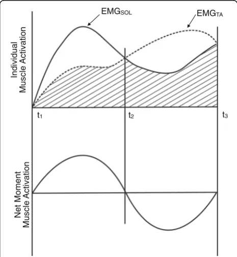 Fig. 2 Representative example of COMy and COM-Vy during functional stability boundary test