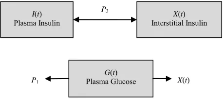 Figure 2. Glucose minimal model. 