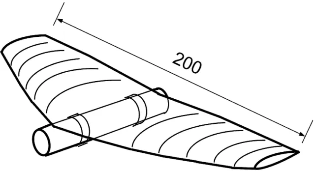 Figure 3. A schematic of a small glider whose fuselage is the sensor to be decelerated