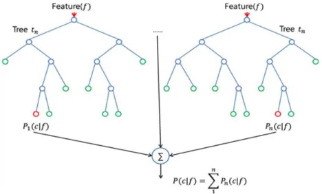 Figure 4.1:            The process of Random Forest 