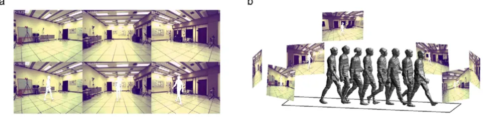 Figure 1(a) Selected background images (top) and separated subject data (bottom)(a) Selected background images (top) and separated subject data (bottom)