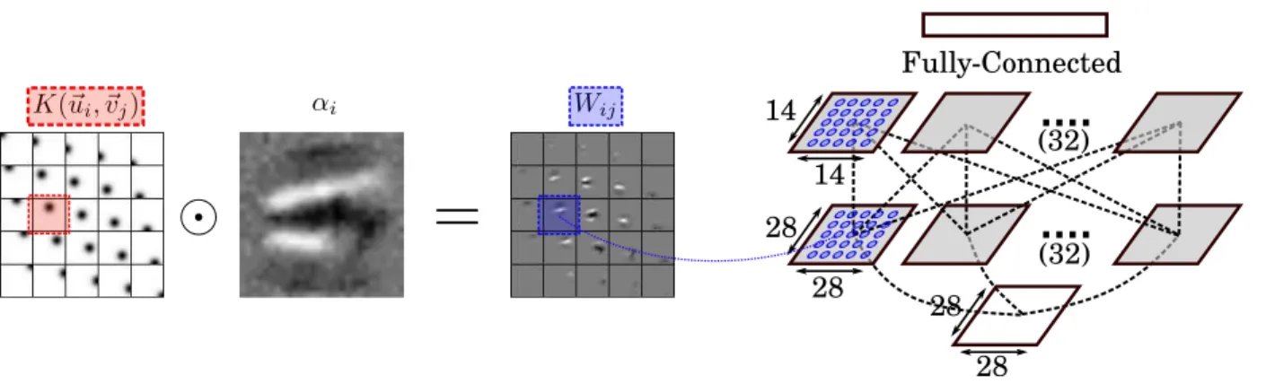 Figure 4. Architecture of a kernelNet for image classification. Dotted lines indicate 2D RBF kernelized connection matrices, an array of which is visualized on the left