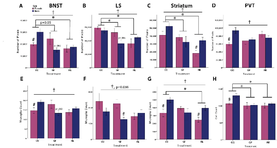 Figure 2.3. Recolonization does not rescue the reduced microglia expression in 