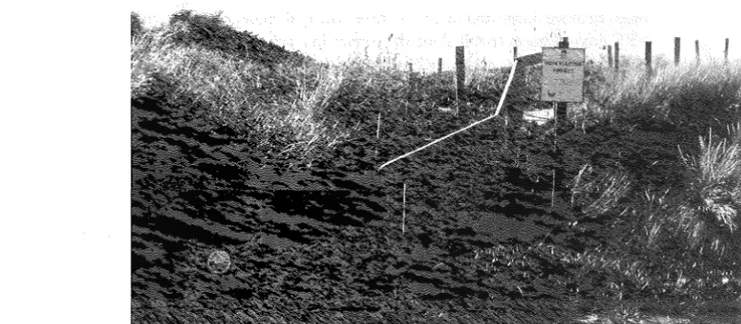 Figure 18.9 