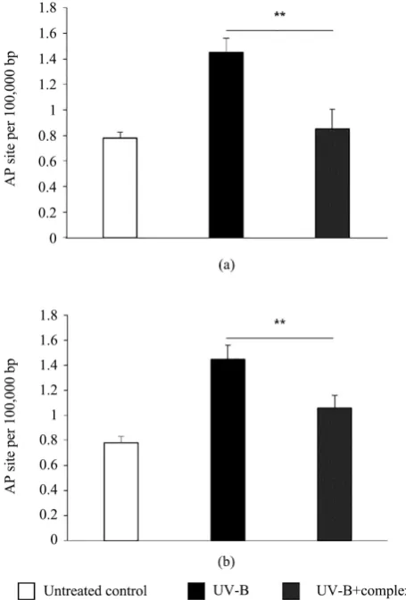 Figure 4. UV-B protective and regenerative effect on UV-B irradiated hu-man keratinocytes
