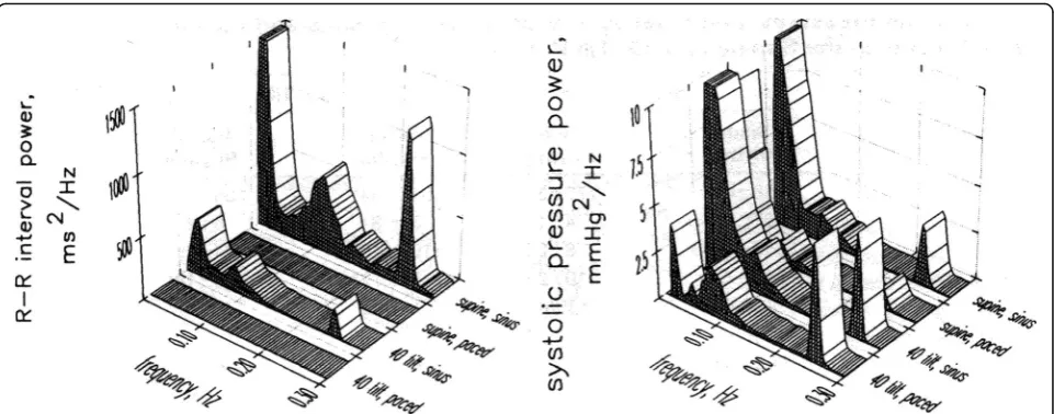 Fig. 2 R-R interval and systolic pressure power in young individuals in the supine position and 40° tilt position with and without atrial pacing;elimination of RSA through fixed atrial pacing decreases pressure oscillations at the respiratory frequency in the supine position, but increasesthem in the upright position (redrawn from) [10]