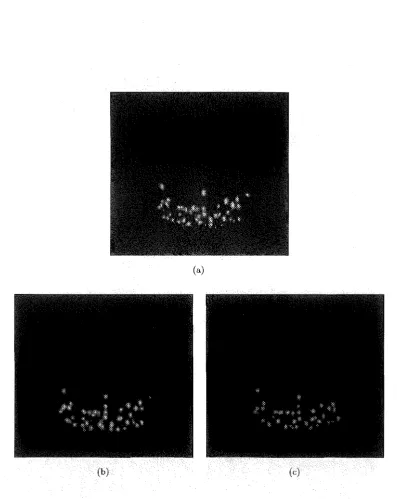 Figure 2.6 Photon emission from consecutive impulses on a single balloon modeL (a) 3.6kV fern