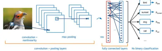 Fig. 2. Architecture of Convolutional neural network  