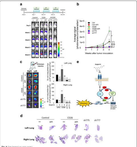 Fig. 6 (See legend on next page.)