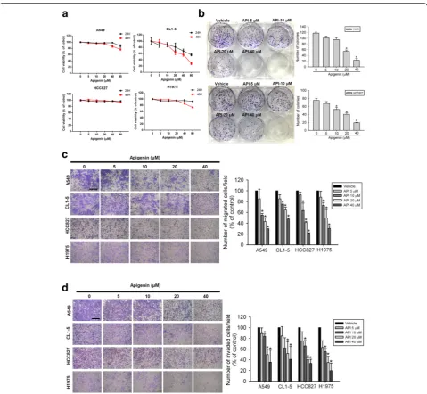 Fig. 1 Apigenin (API) inhibits colony formation, cell migratory, and invasive abilities of non-small cell lung cancer (NSCLC) cells harboring differentcells were treated with the vehicle or API (5~40T790 M), were treated with the indicated concentrations o