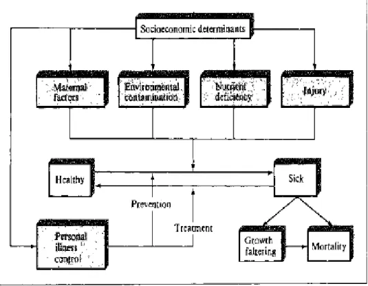 Figure 3.3. Mosley’s operation of the five groups of proximate determinants on the health   dynamics of a population