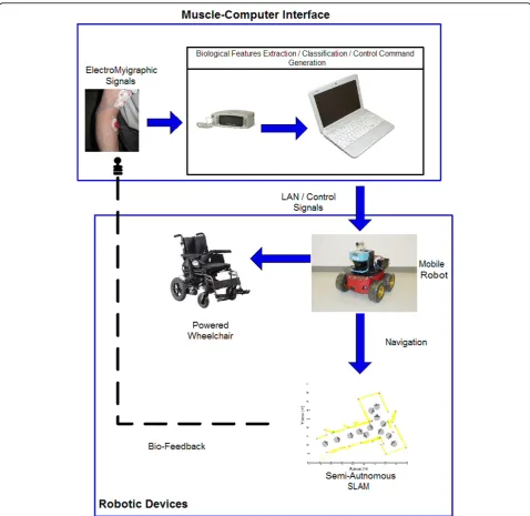 Figure 1 General system architecture. It is composed by two main sub-systems. One acquisition and processing of the biological signals anda second sub-system for the robot motion control and intelligence.