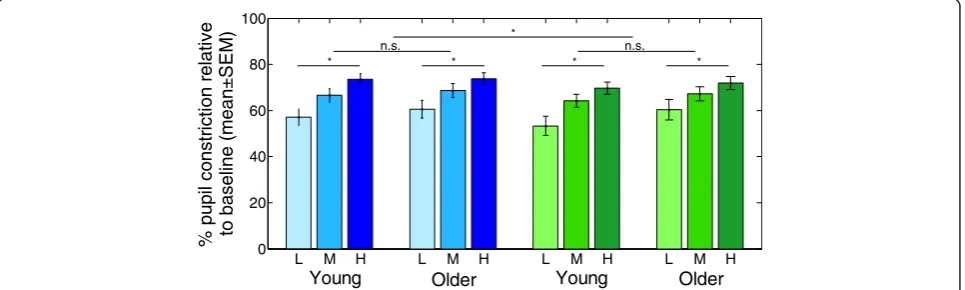 Fig. 2 Steady-state pupil constriction in young and older individuals. Mean pupillary constriction relative to baseline ± SEM in each age group